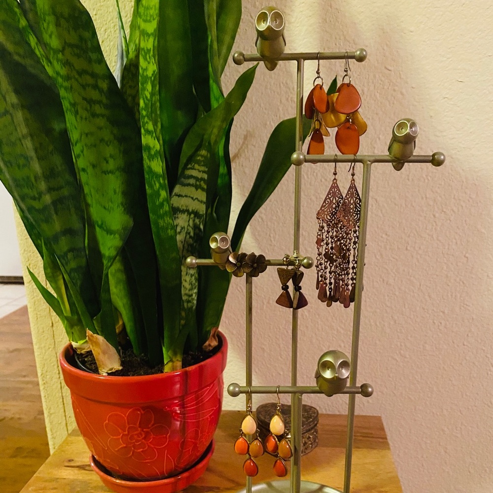 Earring Bundle (5 Pairs)